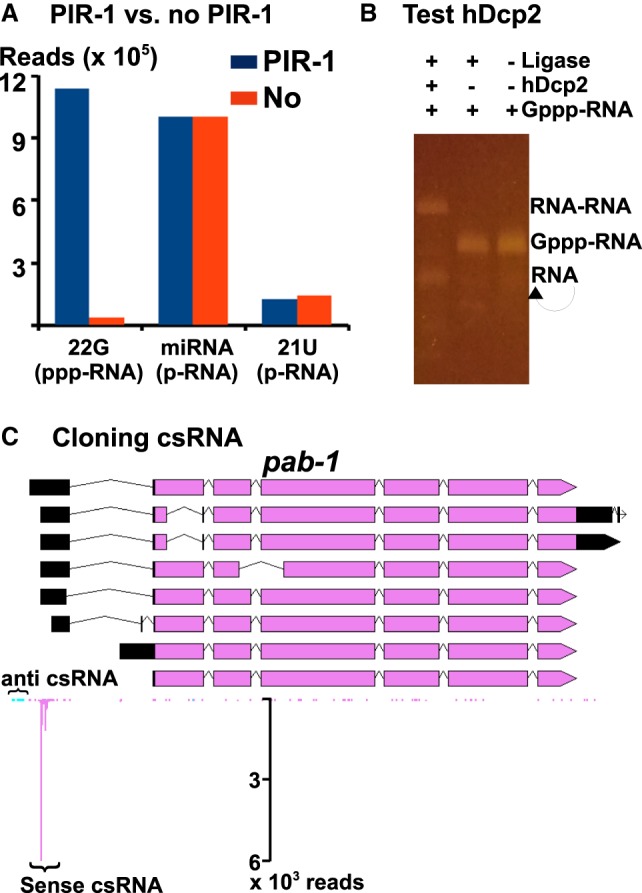 FIGURE 4.