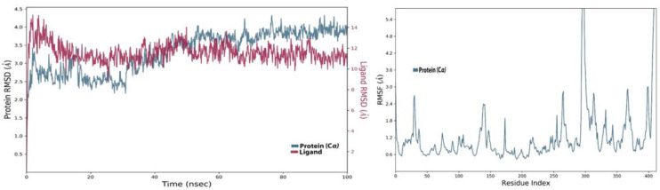 Figure 12