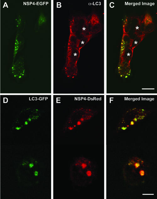 FIG. 9.