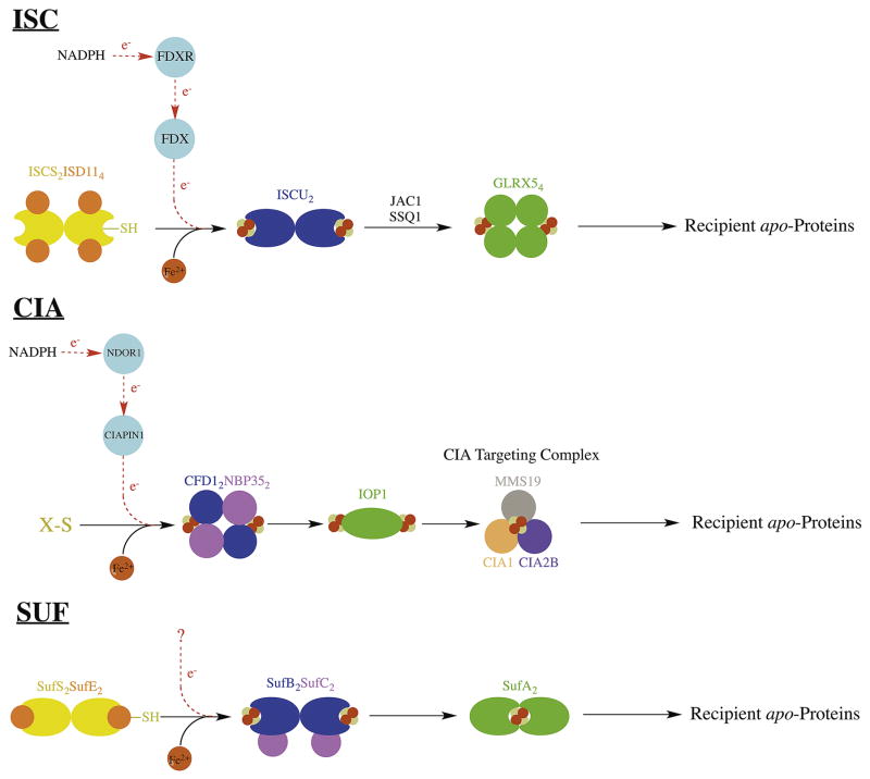 Figure 6