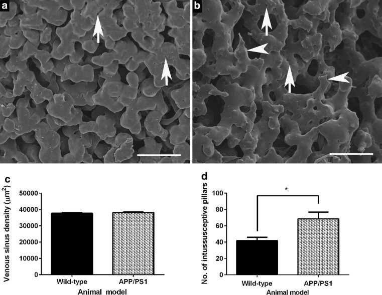 Fig. 6