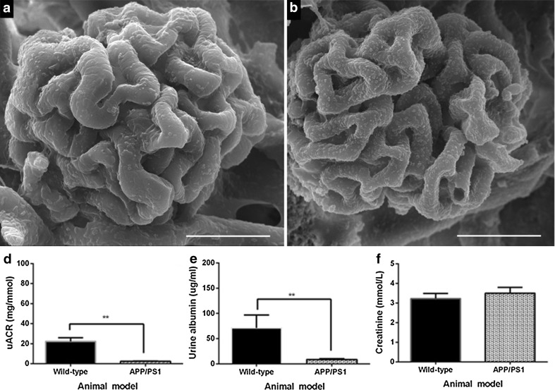 Fig. 7