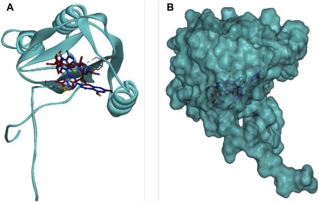 FIGURE 12