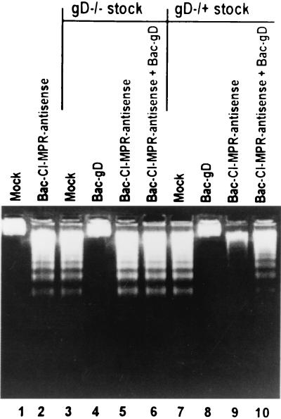 FIG. 6.