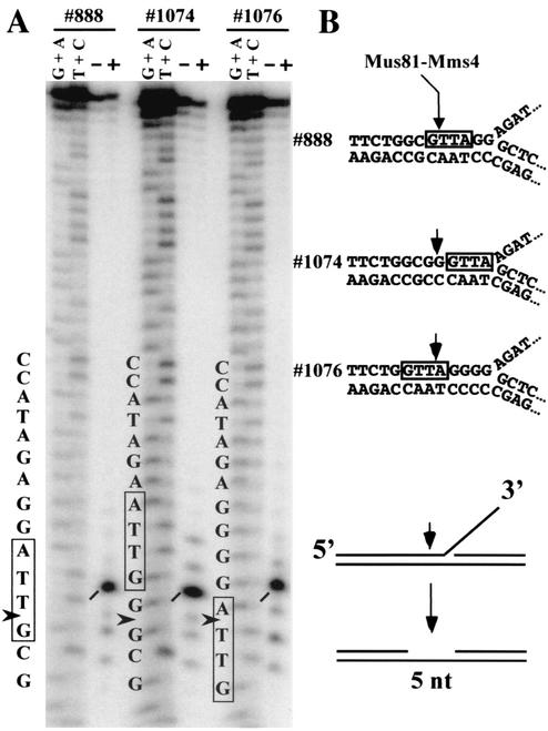 FIG. 3.