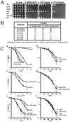 FIG.6.