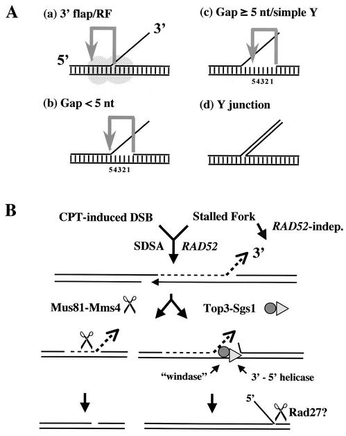 FIG. 7.