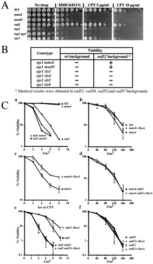 FIG.6.