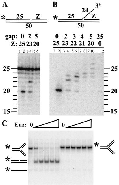 FIG. 5.