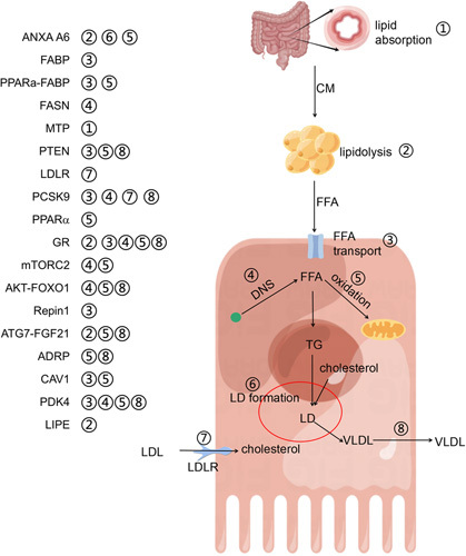 FIGURE 5