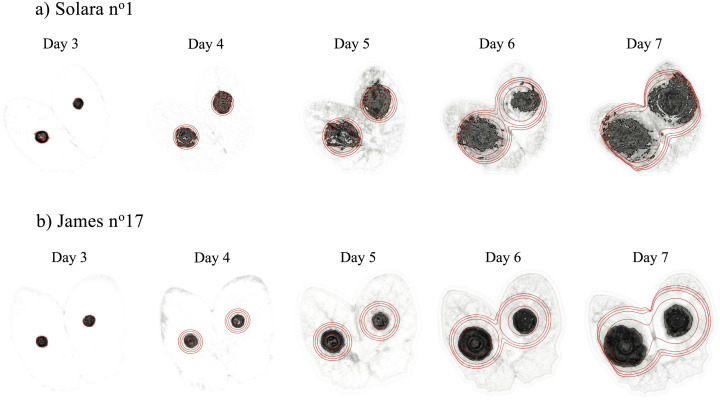 Fig 2