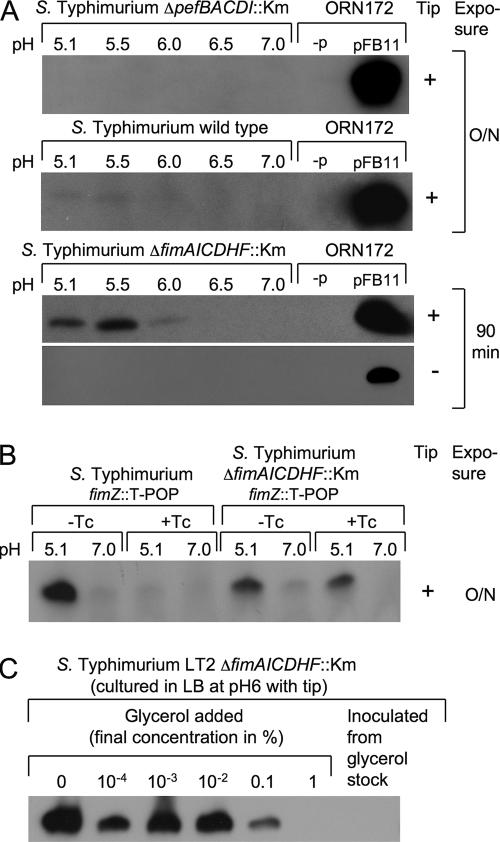 FIG. 2.