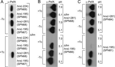 FIG. 4.