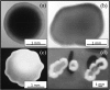FIG 1