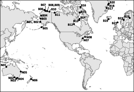 Fig. 1