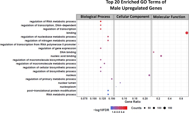 Fig 11