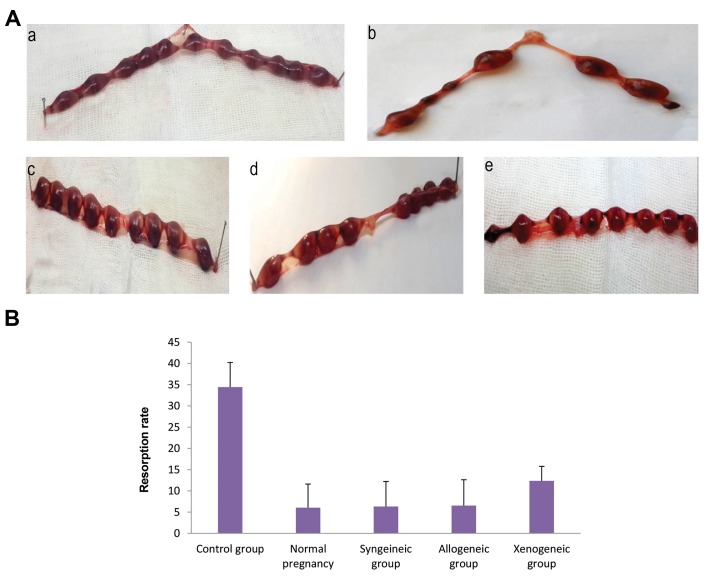 Fig.3