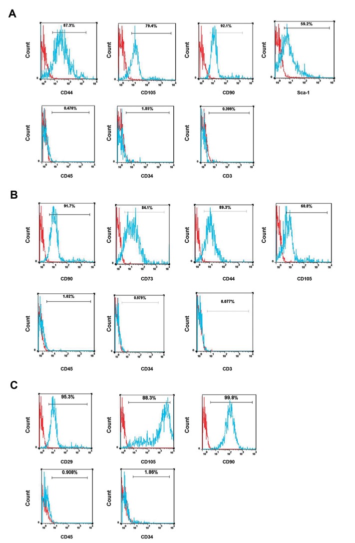 Fig.1