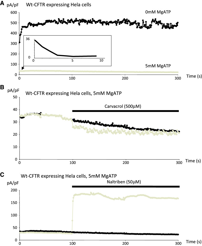 Fig. 7