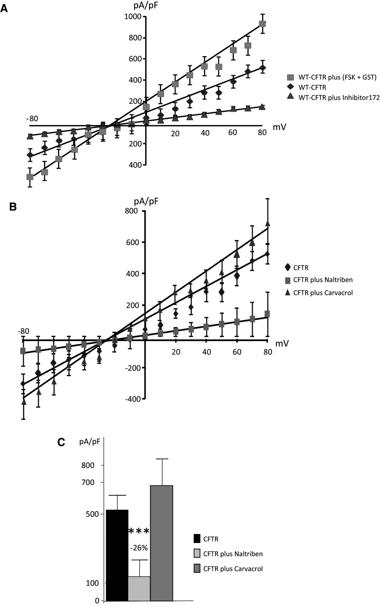 Fig. 9