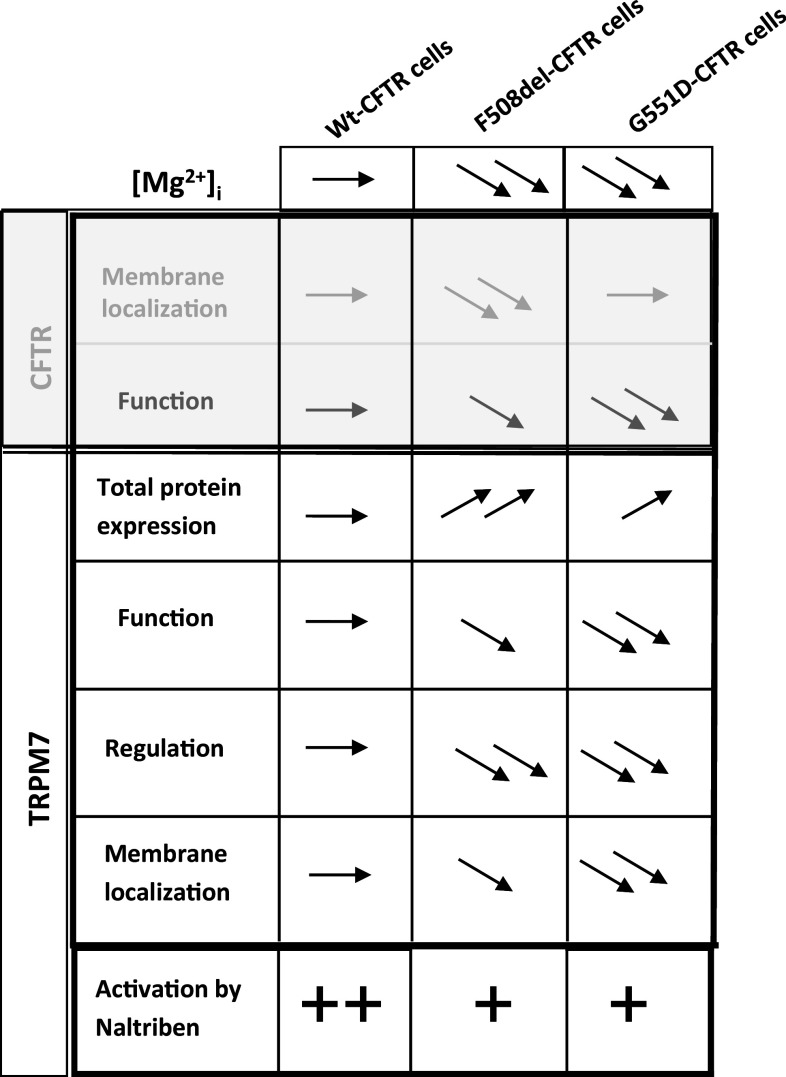 Fig. 14