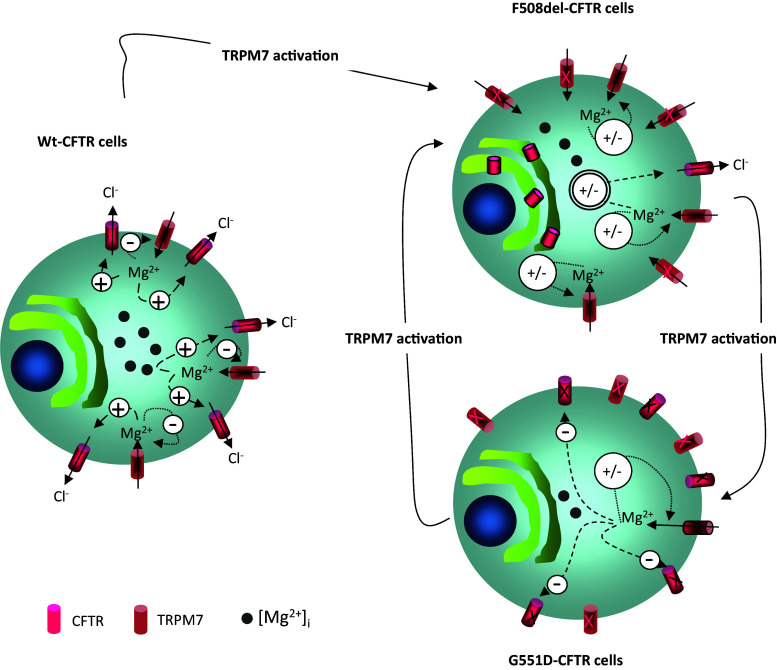 Fig. 15