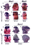 Fig. 6