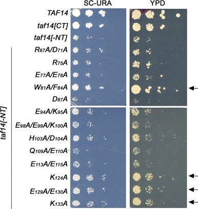 Fig. 6