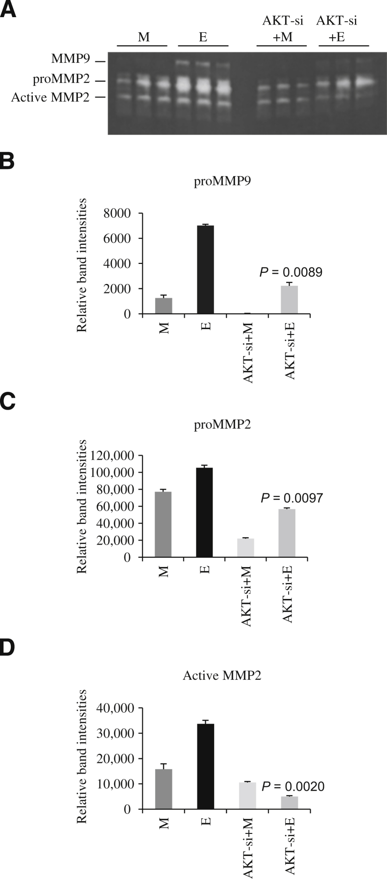 Figure 10