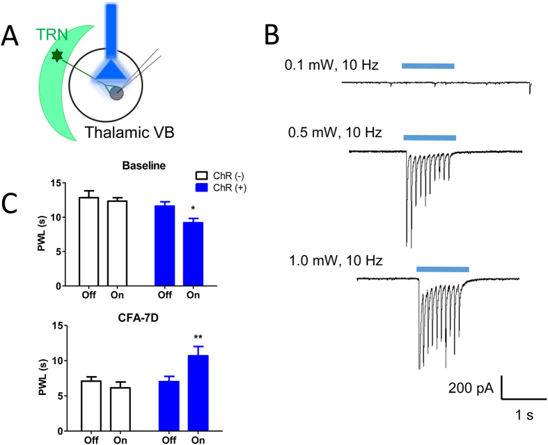 Figure 7