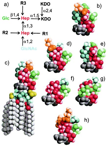 FIG. 1.