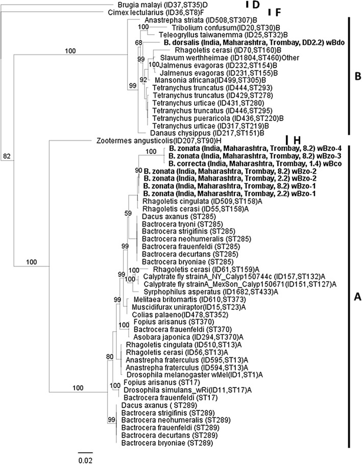 Fig. 2