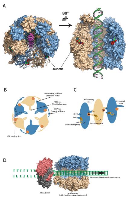 Figure 9