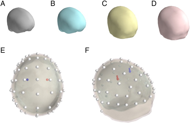 Fig. 2