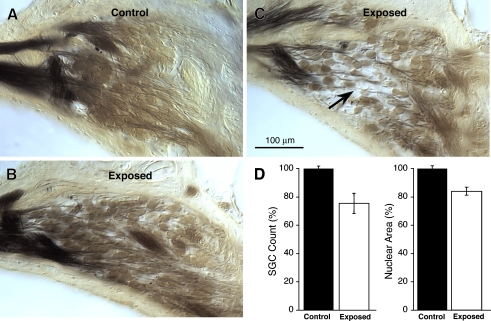 FIG. 7