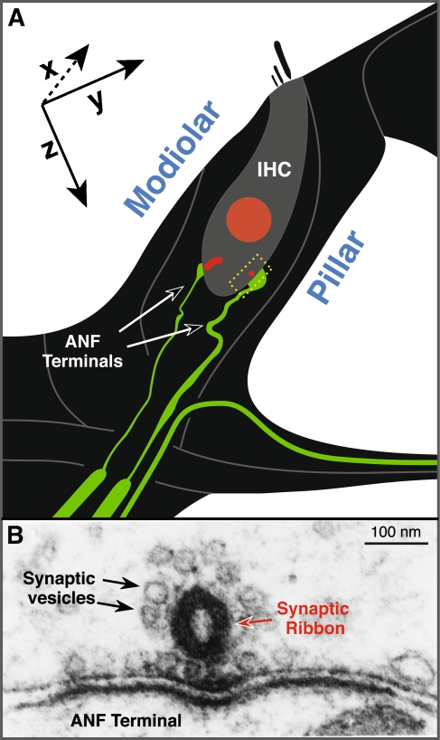 FIG. 1