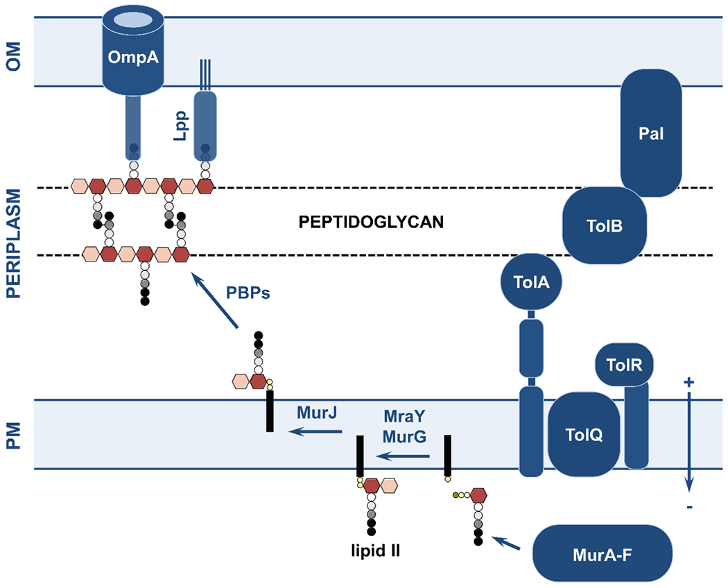 Figure 5.