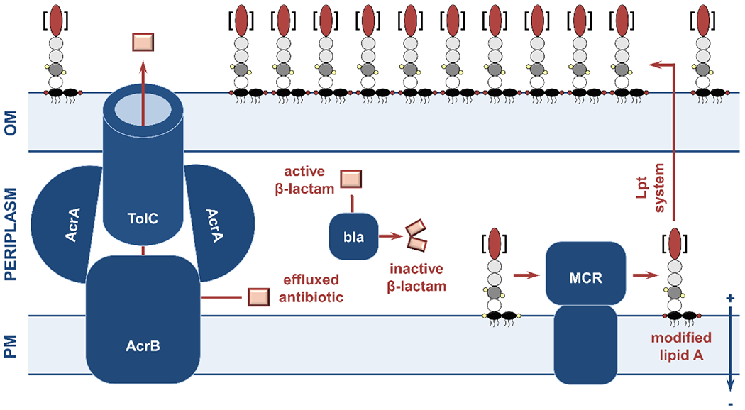 Figure 7.