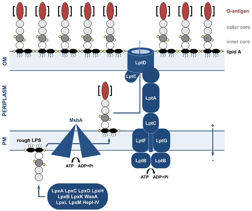 Figure 2.