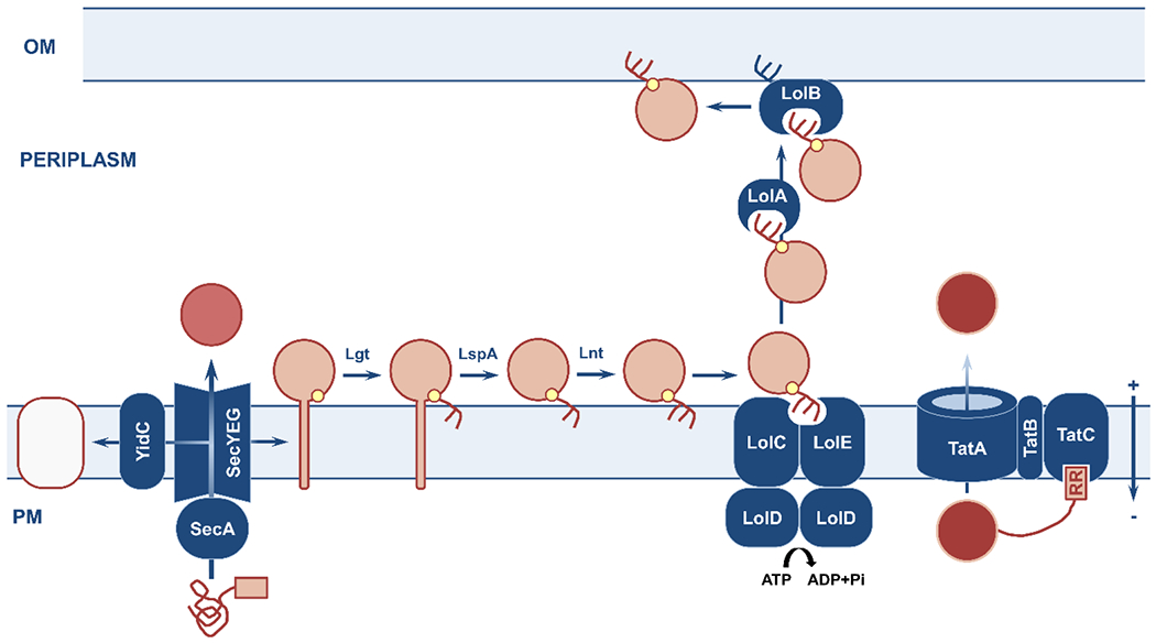 Figure 3.