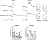 Figure 3—figure supplement 2.