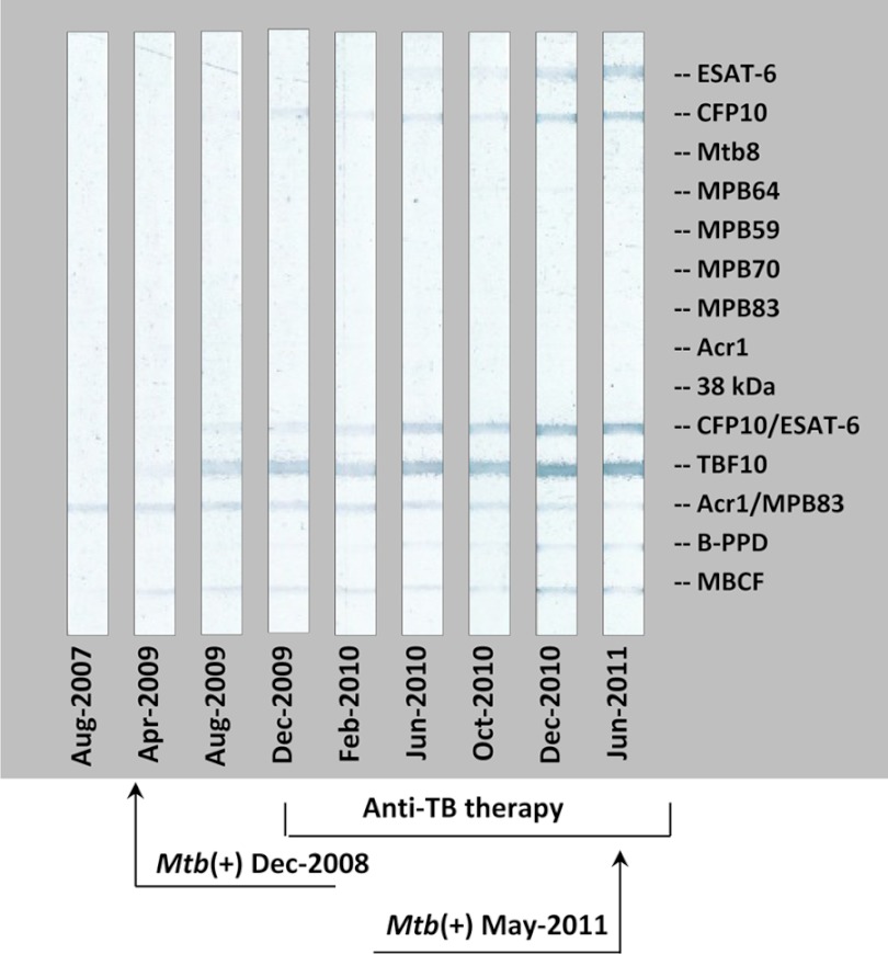 Fig 3