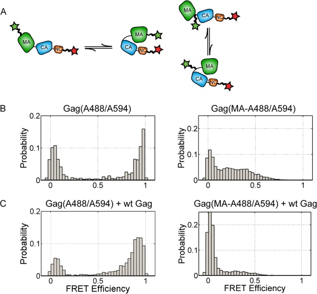 FIG 2