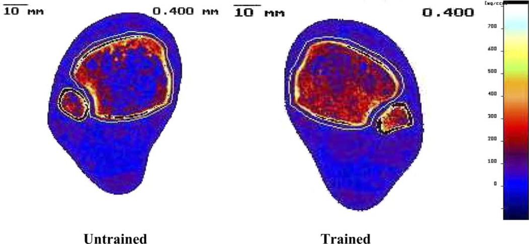 FIG. 7