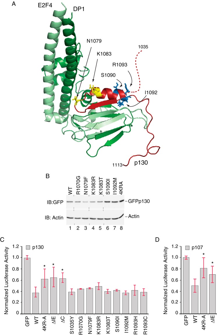 FIGURE 7.