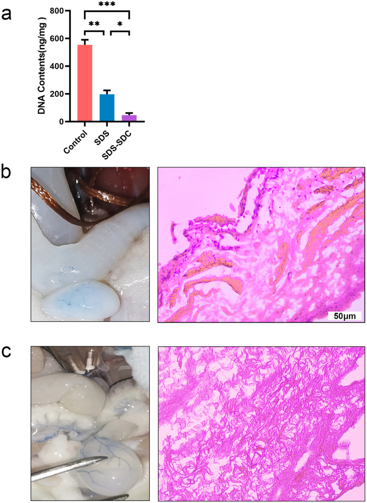 Supplementary Fig. 2