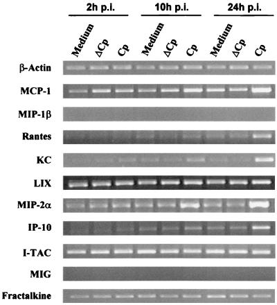 FIG. 3.