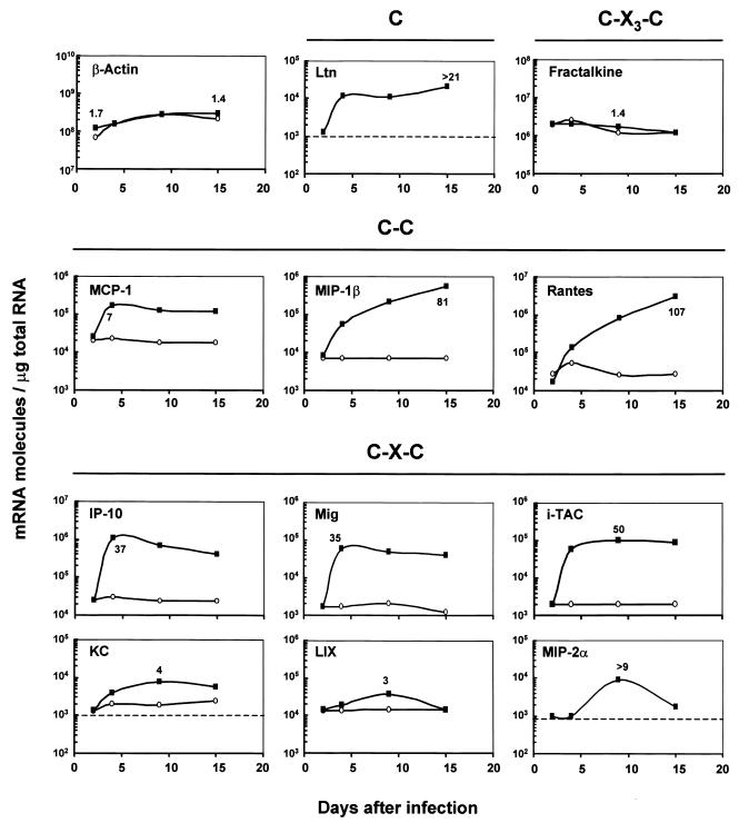 FIG. 2.