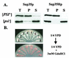 FIG. 3.