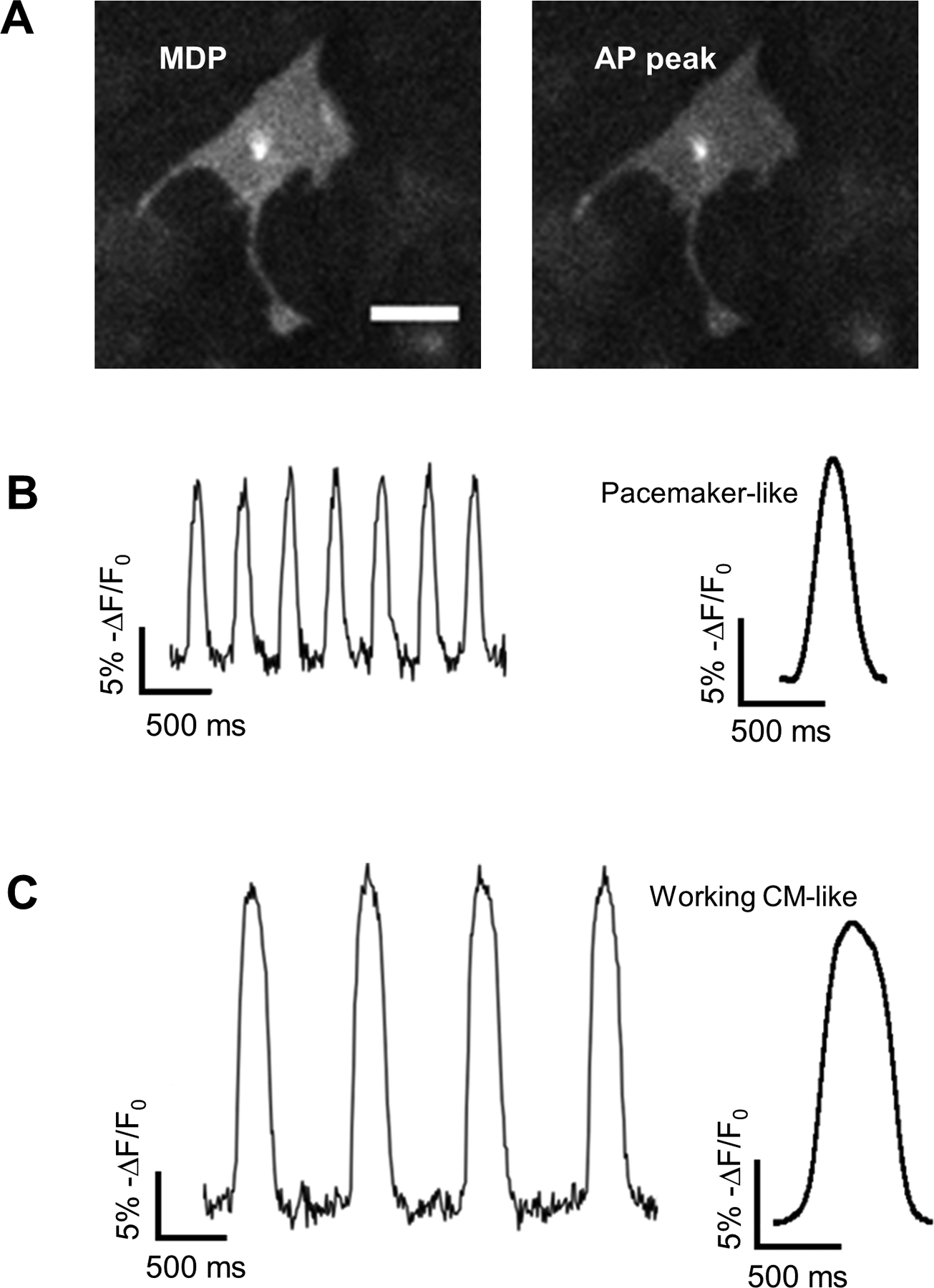 Figure 5.